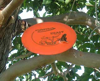 Disc Golf New Zealand Disc Golf New Zealand
